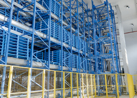 Automated Storage &amp; Retrieval System (Asrs) Stacker Crane Steel Rack Palet MAGAZYN